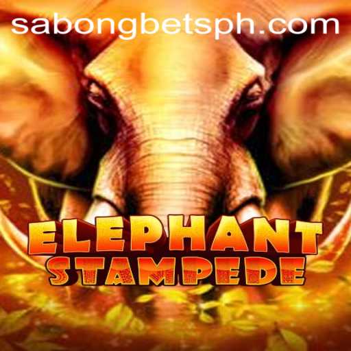 ElephantStampede: A Thrilling Adventure in the World of Sabong Bets